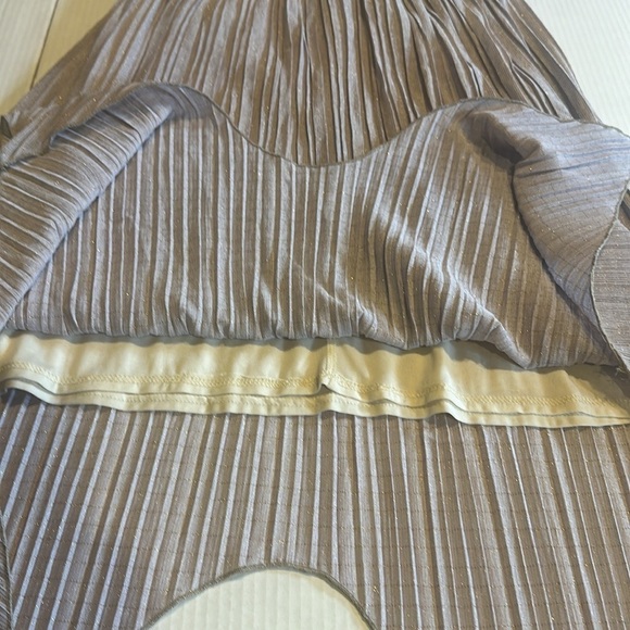 NWT Walter Baker long shimmery elastic skirt beige gold with inside liner size 6 - Picture 4 of 11